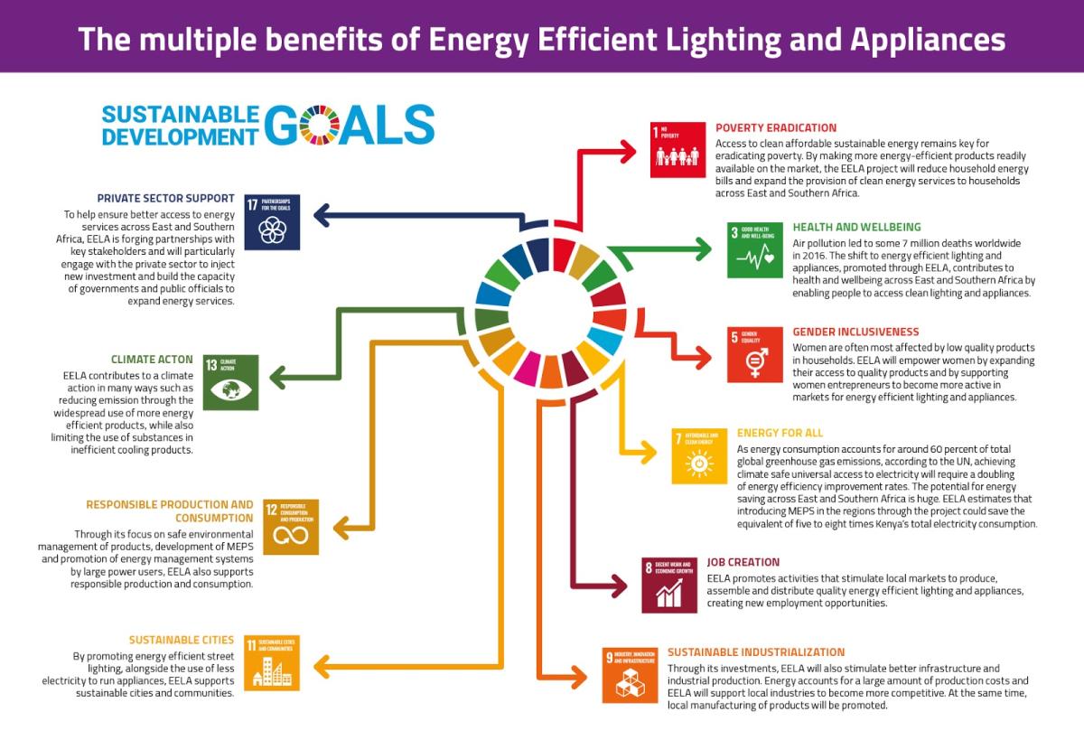 eela_sdg_infographic