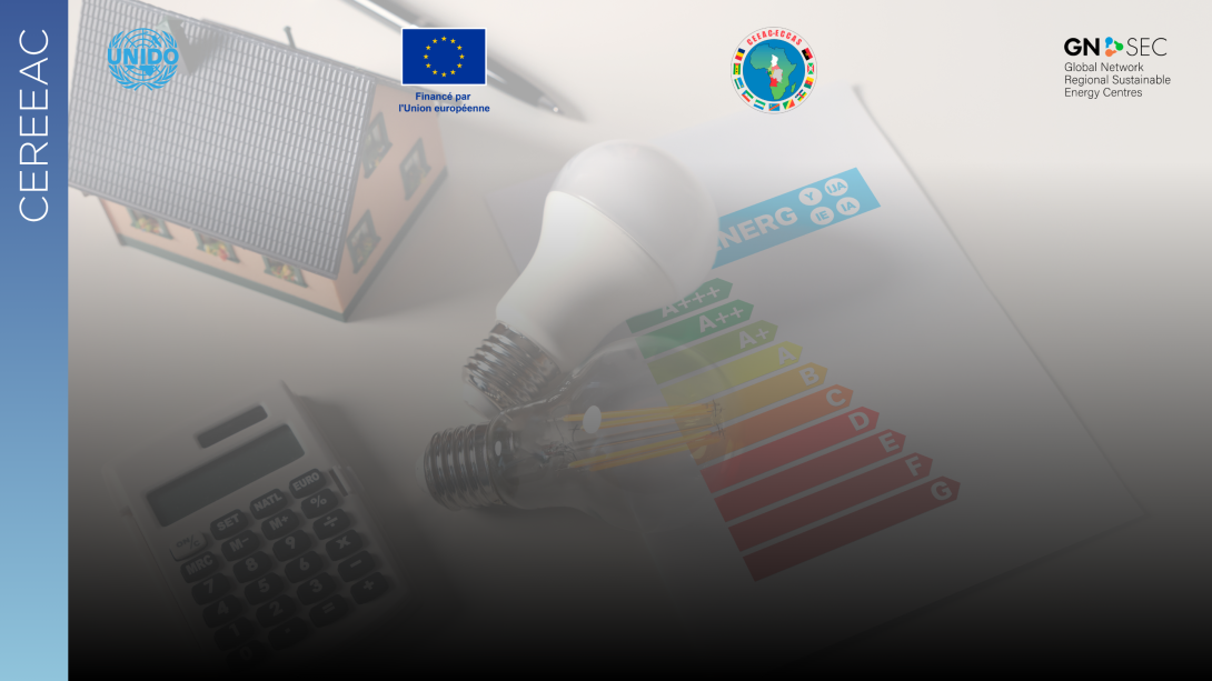 Towards the adoption of Regional Energy Performance Standards: CEREEAC at the forefront of energy harmonization in Central Africa