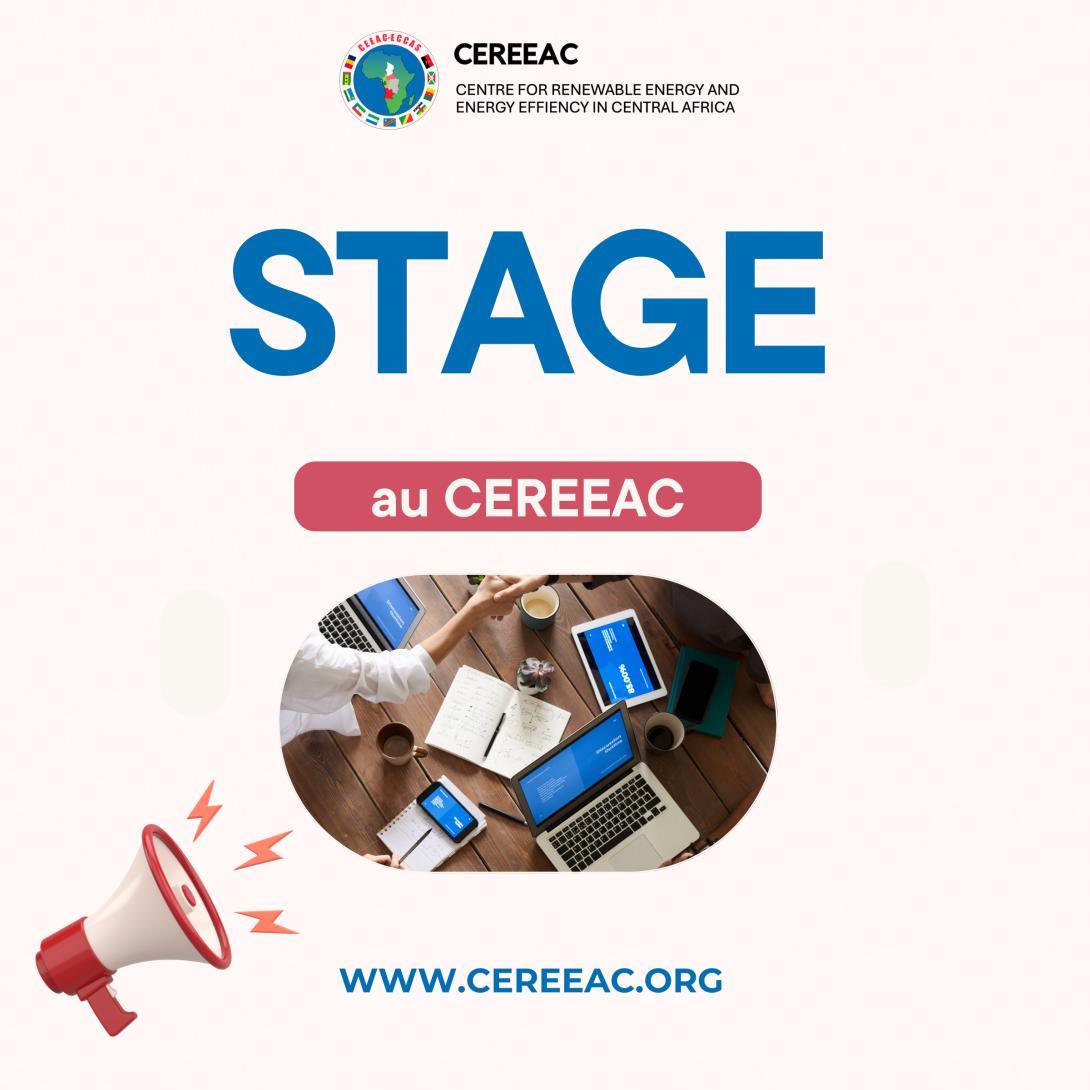 Opportunités de stage au CEREEAC - 2 postes